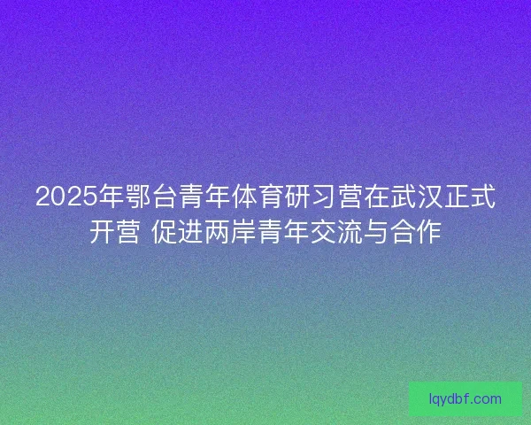 2025年鄂台青年体育研习营在武汉正式开营 促进两岸青年交流与合作